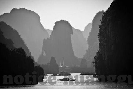 leyu乐鱼体育游戏-leyu乐鱼体育游戏，一场科技与娱乐的交融之旅