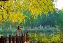 mk体育app狼堡-MK体育APP与狼堡，数字时代下的体育新体验