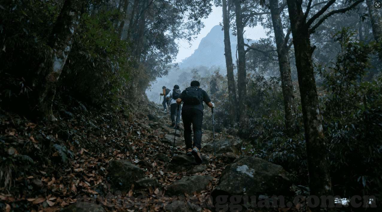 世界杯投注限制金额-世界杯投注限制金额，保障公平与安全的双刃剑
